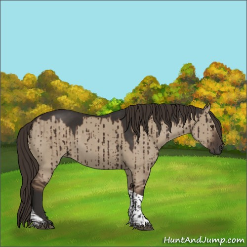 Horse Color:Liver Red Dun Tobiano Brindle 