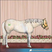 Horse Color:Silver Amber Cream Champagne Roan Tobiano 