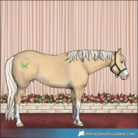 Horse Color:Silver Classic Cream Champagne Dun 
