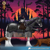 Horse Color:Platinum Gold Cream Champagne