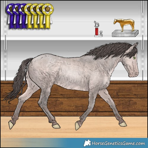 Horse Color:Platinum Amber Champagne 
