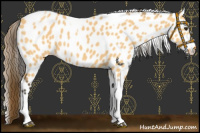 Horse Color:Buckskin Dun Tobiano Leopard 