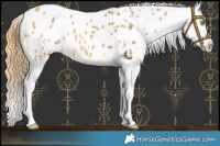 Horse Color:Sable Cream Champagne Appaloosa 