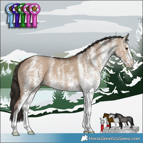 Horse Color:White Spotted Liver Red Dun 