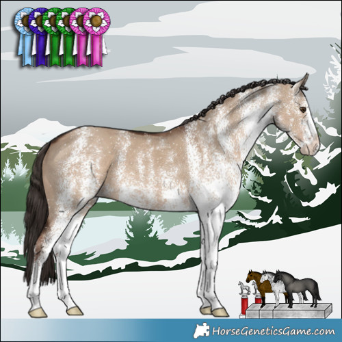 Horse Color:White Spotted Liver Red Dun 