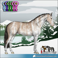 Horse Color:White Spotted Liver Red Dun 
