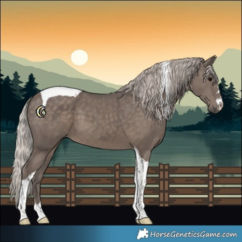 Horse Color:Silver Black Tobiano 