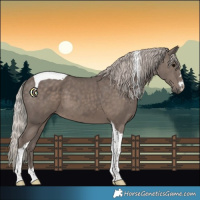Horse Color:Silver Black Tobiano