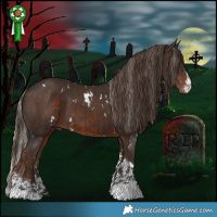 Horse Color:White Spotted Silver Brown and Liver Chestnut Sabino