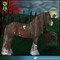 Horse Color:White Spotted Silver Brown  and Liver Chestnut Sabino
