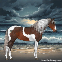 Horse Color:Silver Brown Tobiano 