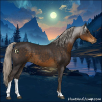 Horse Color:Silver Smoky Black Tobiano 
