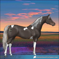 Horse Color:Silver Black Tobiano 