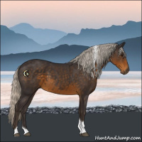 Horse Color:Silver Smoky Black Tobiano 