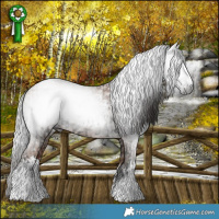Horse Color:Gray White Spotted Liver Chestnut Appaloosa Rabicano and Gray White Spotted Classic Champagne Rabicano