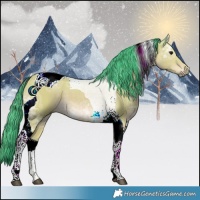 Horse Color:Watercolor Buckskin Ice Tobiano 