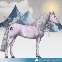 Horse Color:Watercolor Palomino Ice 