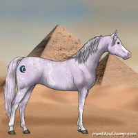 Horse Color:Watercolor Palomino Ice 