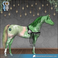 Horse Color:Watercolor Black Ice 