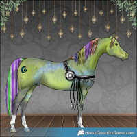 Horse Color:Painted Watercolor Silver Bay