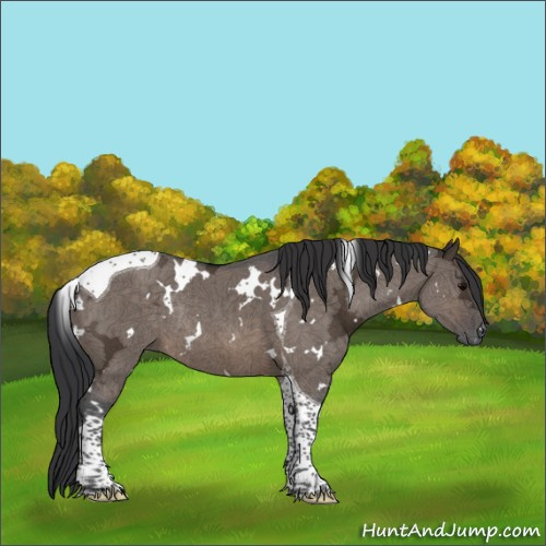 Horse Color:White Spotted Brown Ice Dun Tobiano Rabicano Brindle 