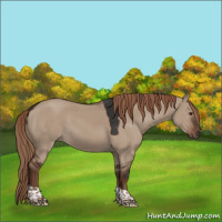 Horse Color:Liver Red Dun Tobiano Rabicano 