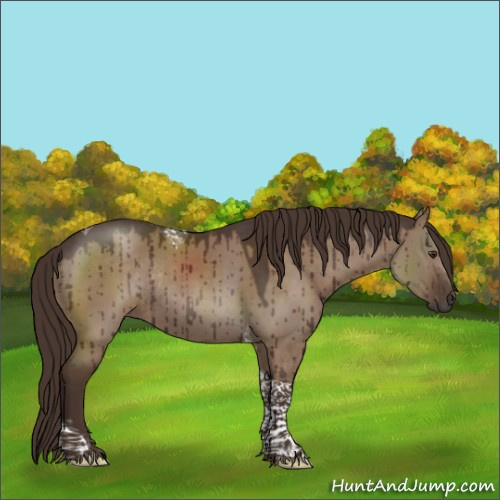 Horse Color:Liver Red Dun Tobiano Rabicano Brindle 