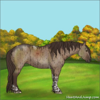 Horse Color:Liver Red Dun Tobiano Rabicano Brindle 