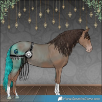 Horse Color:Classic Champagne 