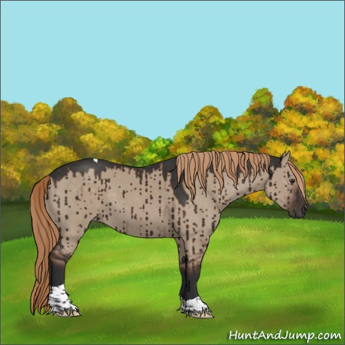 Horse Color:Liver Red Dun Tobiano Brindle 