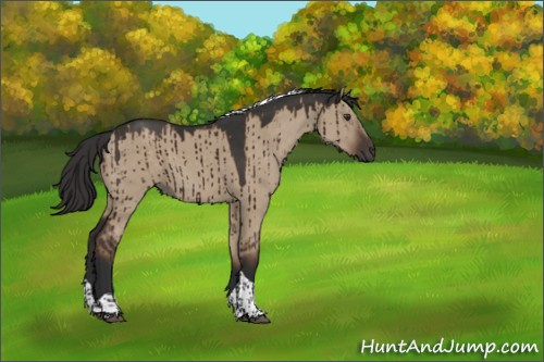 Horse Color:Liver Red Dun Tobiano Rabicano Brindle 