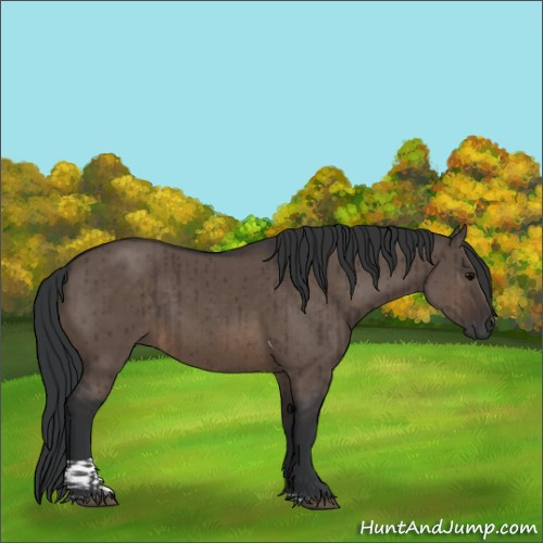 Horse Color:Brown Dun Tobiano Rabicano Brindle 