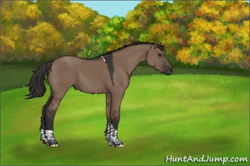 Horse Color:Liver Red Dun Tobiano Rabicano 