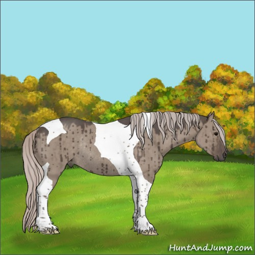 Horse Color:Silver Grullo Tobiano Rabicano Brindle 