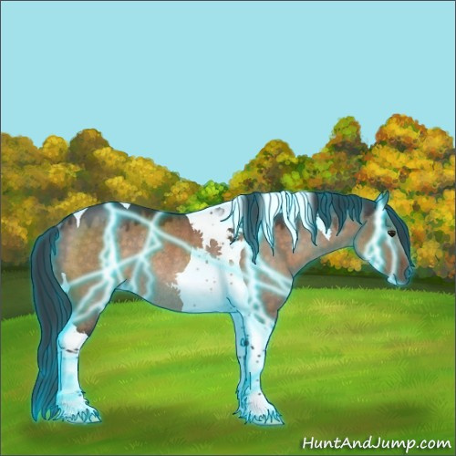 Horse Color:Thunderstruck Brown Dun Tobiano Rabicano 