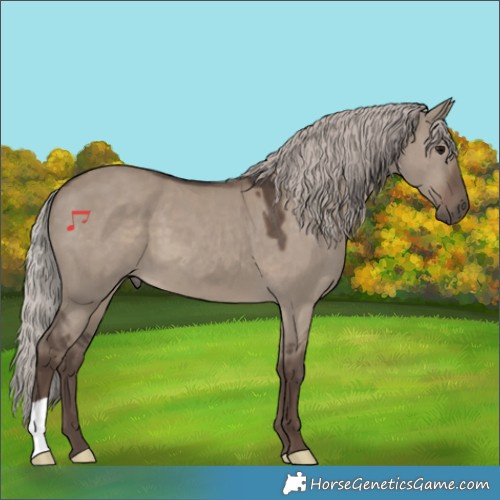 Horse Color:Silver Grullo 