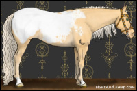 Horse Color:Gold Cream Champagne Snowcap