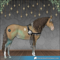 Horse Color:Classic Cream Champagne Rabicano 