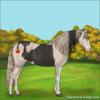 Horse Color:Smoky Black  and Smoky Creme 