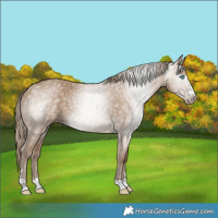 Horse Color:Gray Smoky Creme 