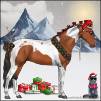 Horse Color:Bay Tobiano 