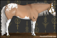 Horse Color:Silver Bay Dun Splash Blanket 