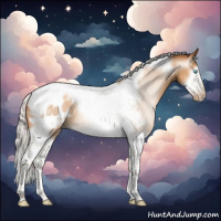 Horse Color:Gray White Spotted Silver Amber Champagne Pearl Splash Tobiano Frame Near Leopard 