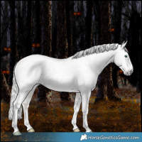 Horse Color:Gray White Spotted Silver Amber Cream Champagne Pearl Dun Splash Tobiano Frame Appaloosa Rabicano 