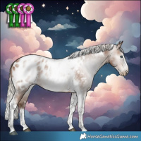 Horse Color:Gray Silver Brown Pearl Splash Tobiano Frame Appaloosa Rabicano