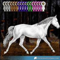 Horse Color:Gray Silver Classic Cream Champagne Pearl Dun Splash Tobiano 