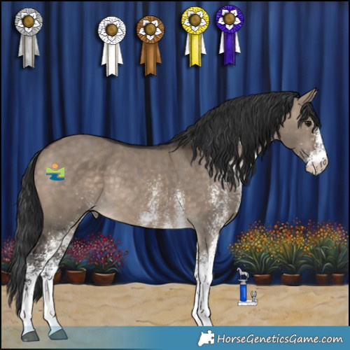 Horse Color:White Spotted Brown Dun Rabicano 