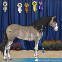 Horse Color:White Spotted Brown Dun Rabicano 