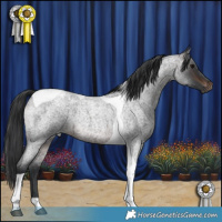 Horse Color:Brown Roan Tobiano