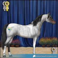 Horse Color:Brown Roan Tobiano 